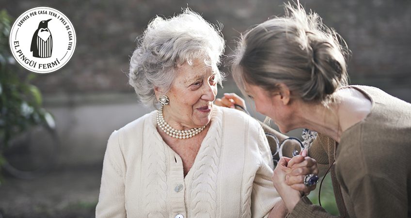 Control de medicació i preparació d’àpats, atenció integral a persones grans