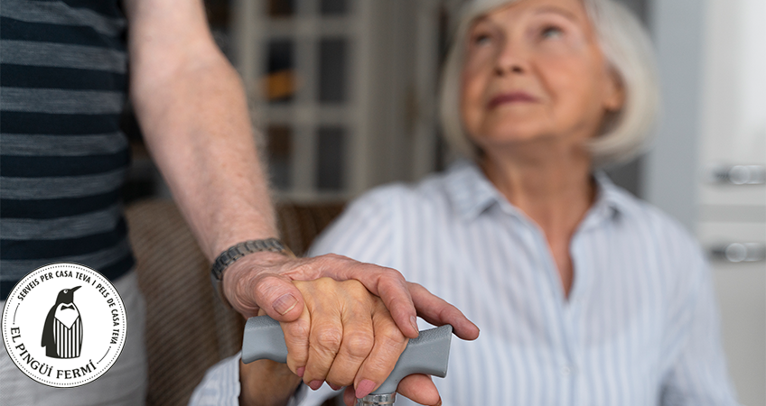 asistencia a domicilio a personas mayores